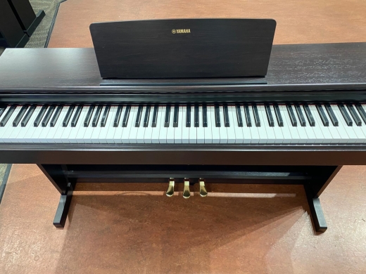 Yamaha YDP144 Rosewood Digital Piano 2